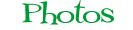 Photos